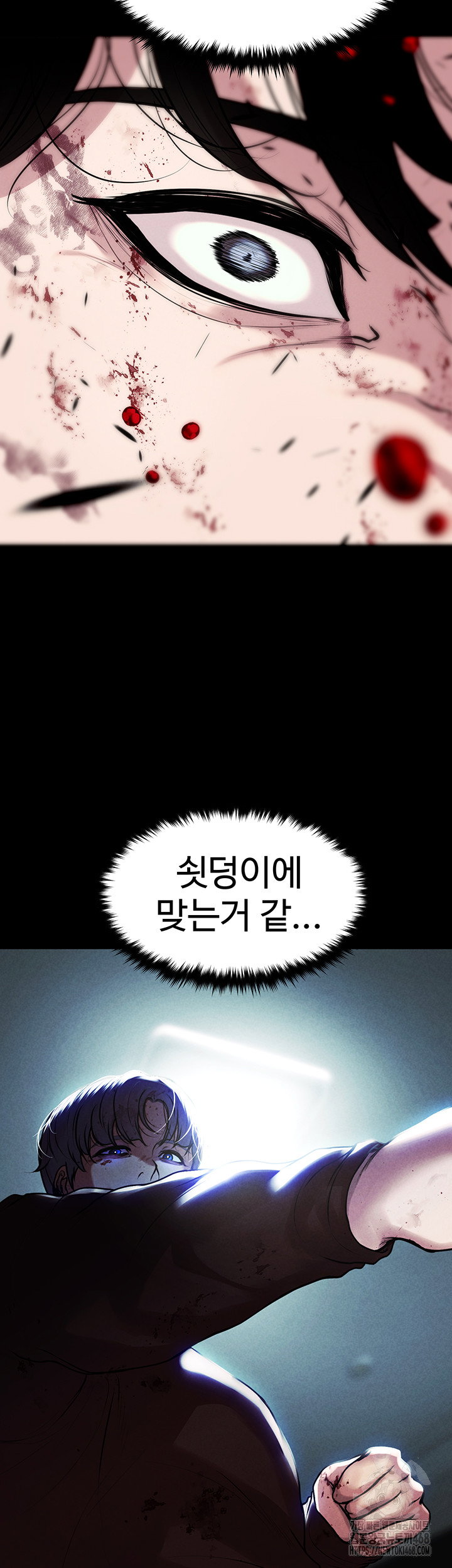 the-real-deal-raw-chap-80-6