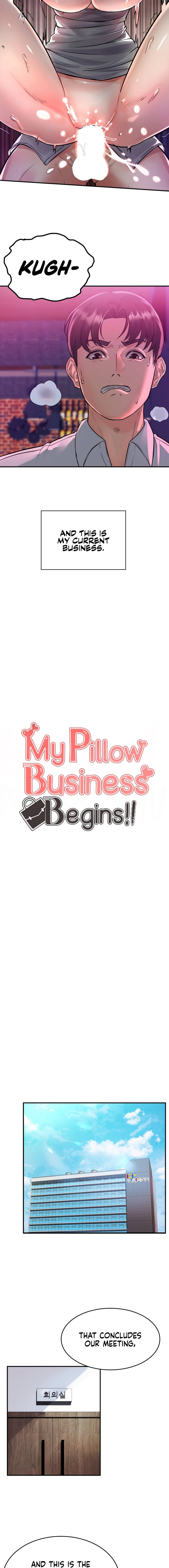 my-pillow-business-begins-chap-1-2