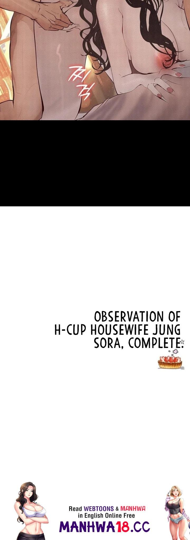 observation-diary-chap-30-42