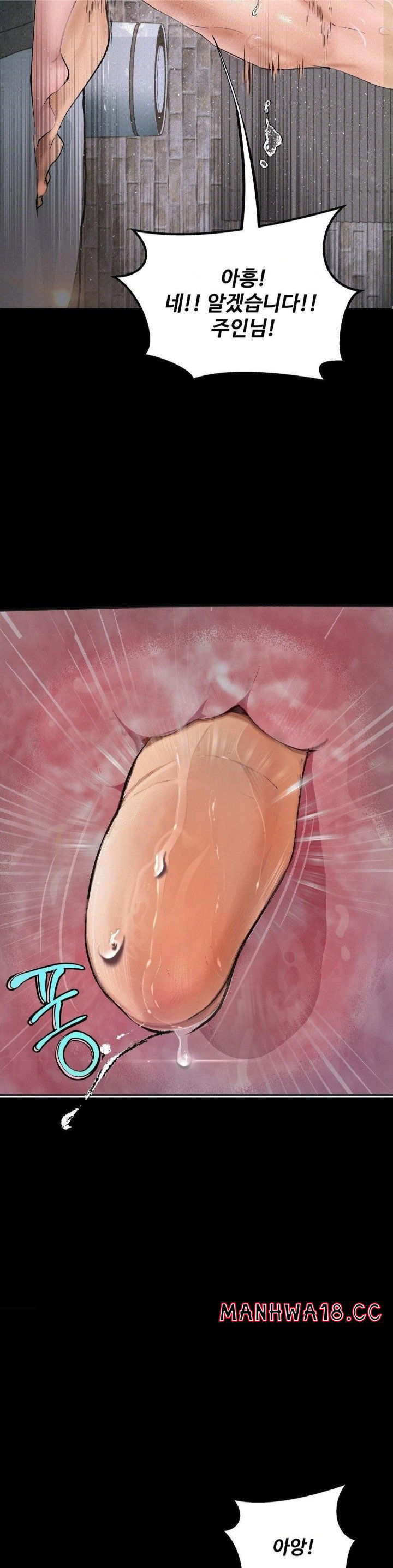 observation-diary-raw-chap-26-18