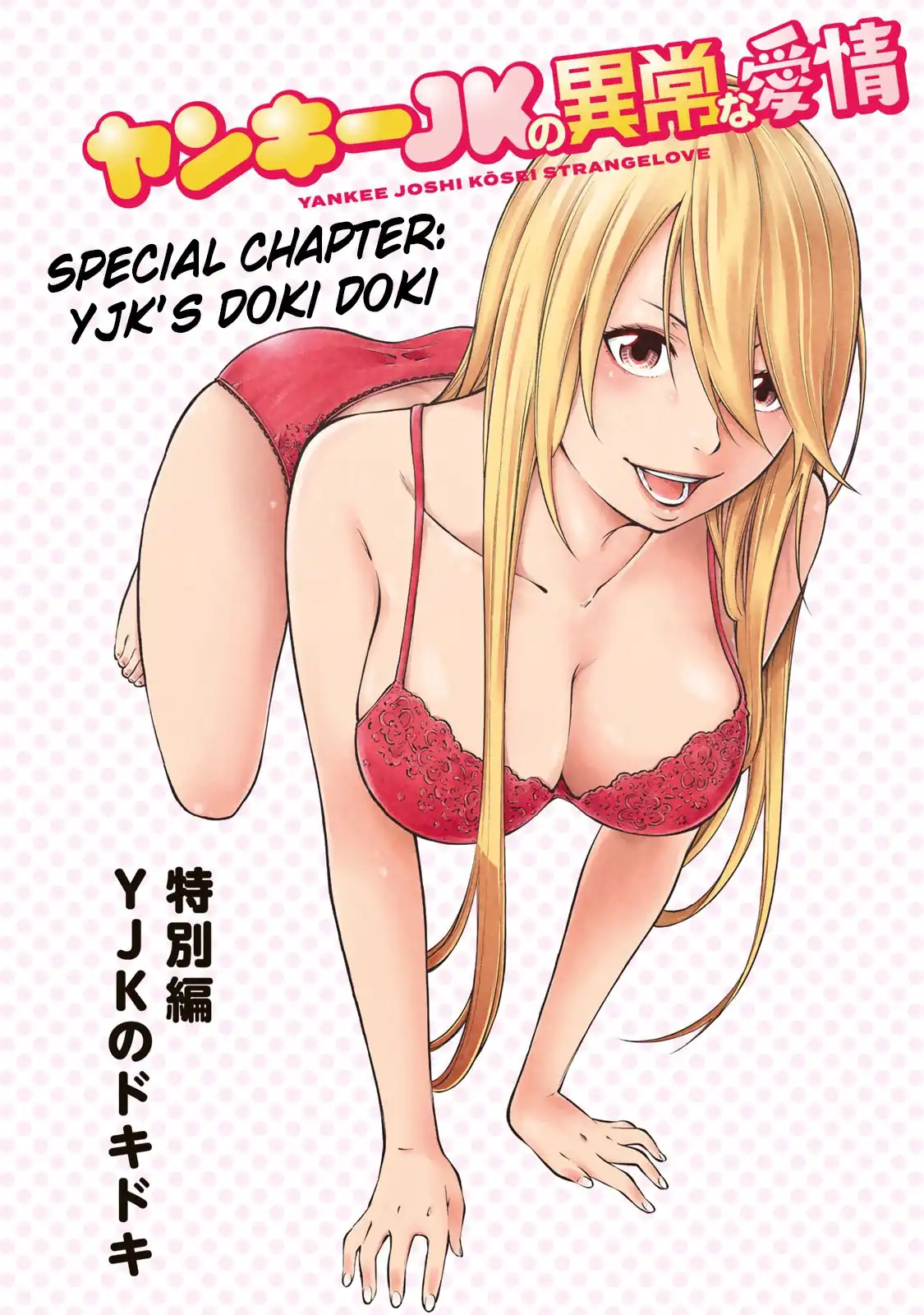 yankee-jk-no-ijou-na-aijou-chap-6.5-2