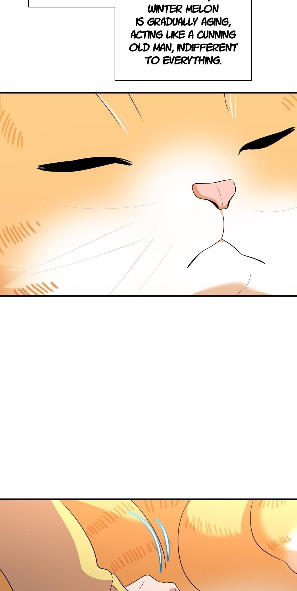 my-wife-is-from-a-thousand-years-ago-chap-355-2