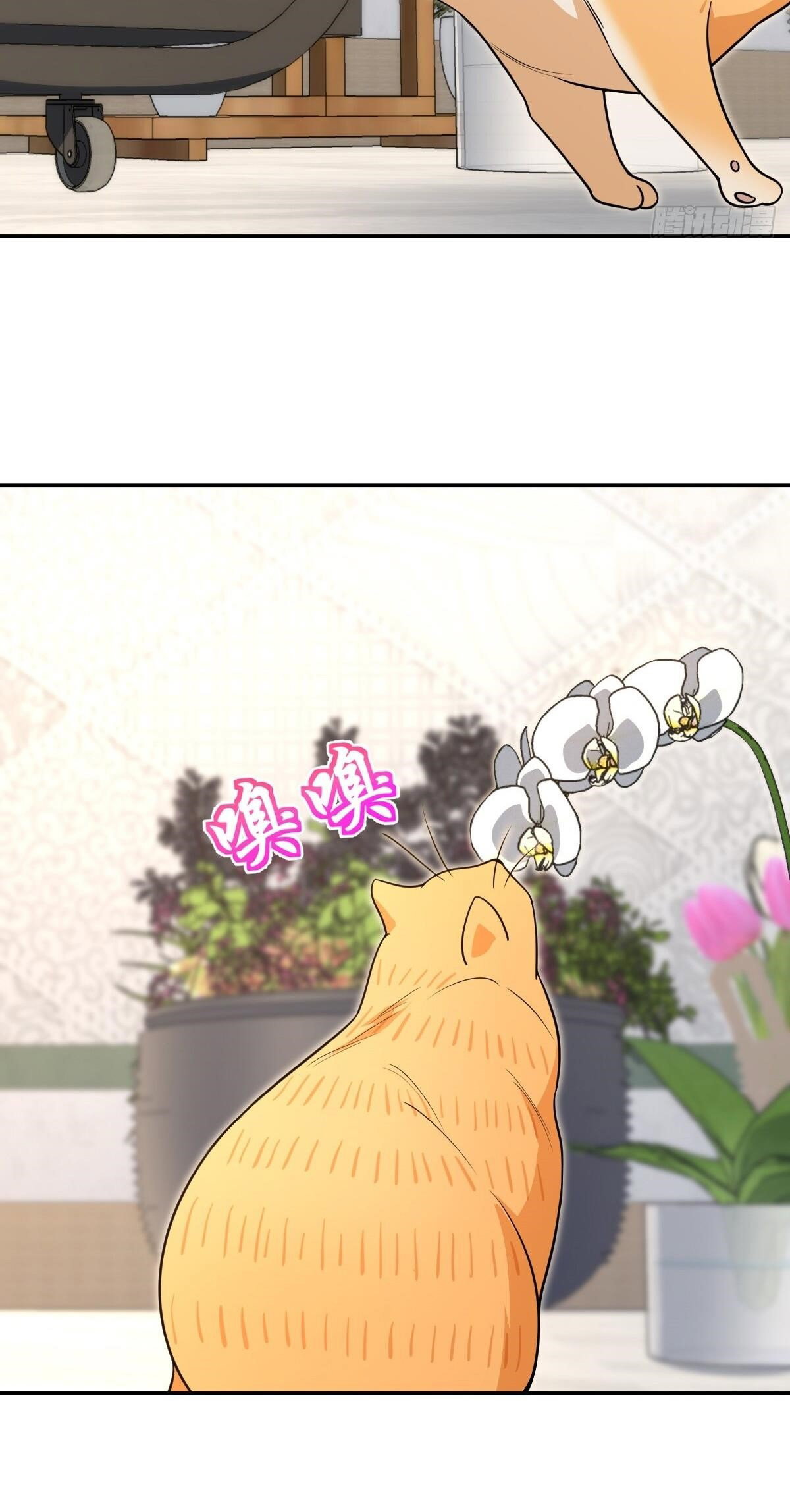 my-wife-is-from-a-thousand-years-ago-chap-380-28