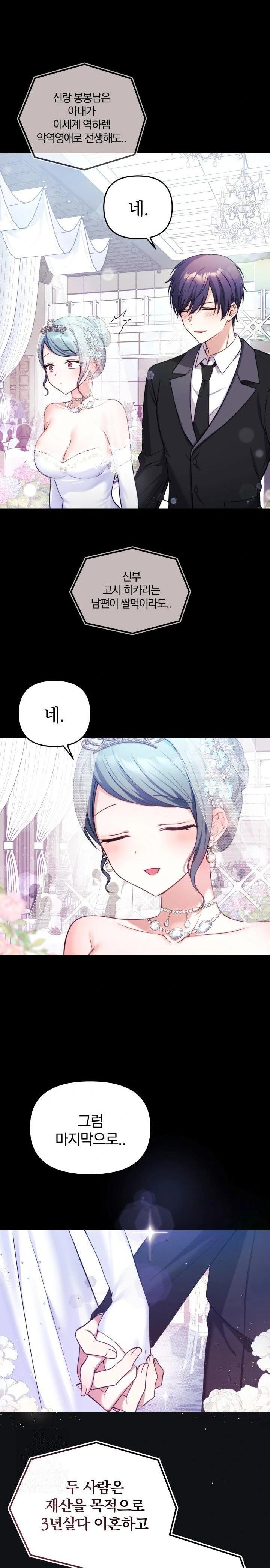 wife-vtuber-raw-chap-1-5