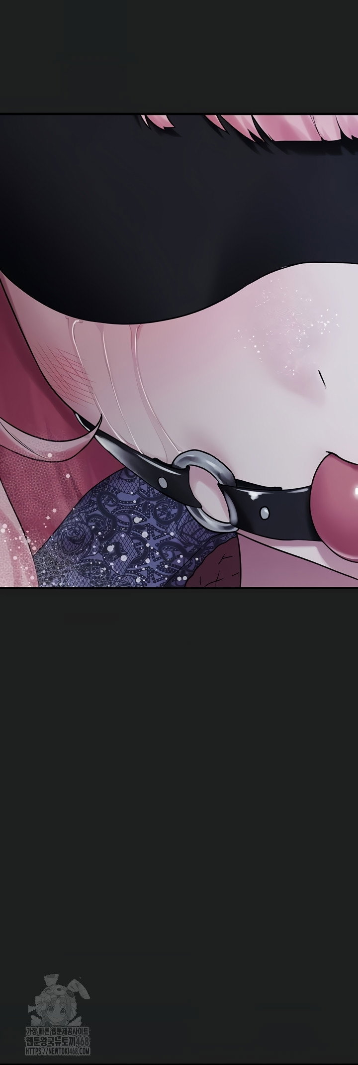i-picked-up-an-unstable-girl-from-the-junkyard-raw-chap-27-27