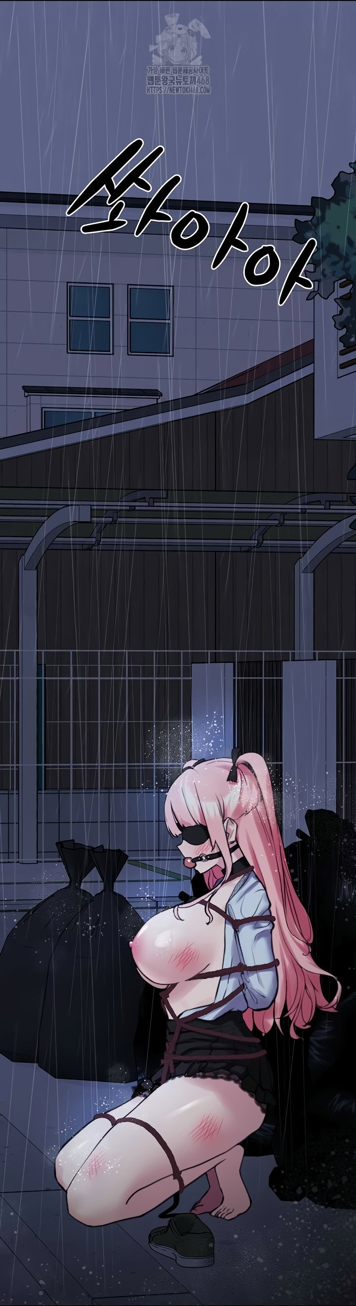 i-picked-up-an-unstable-girl-from-the-junkyard-raw-chap-27-28