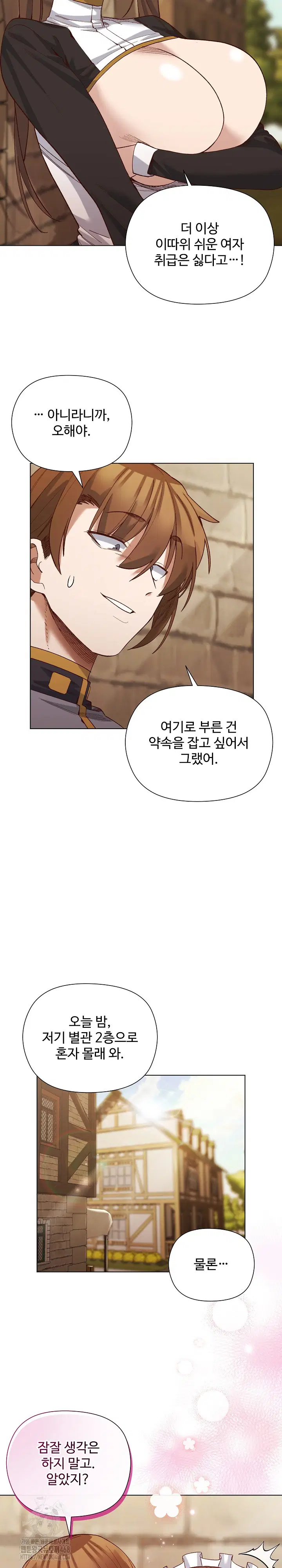 i-will-protect-the-lady-raw-chap-19-22