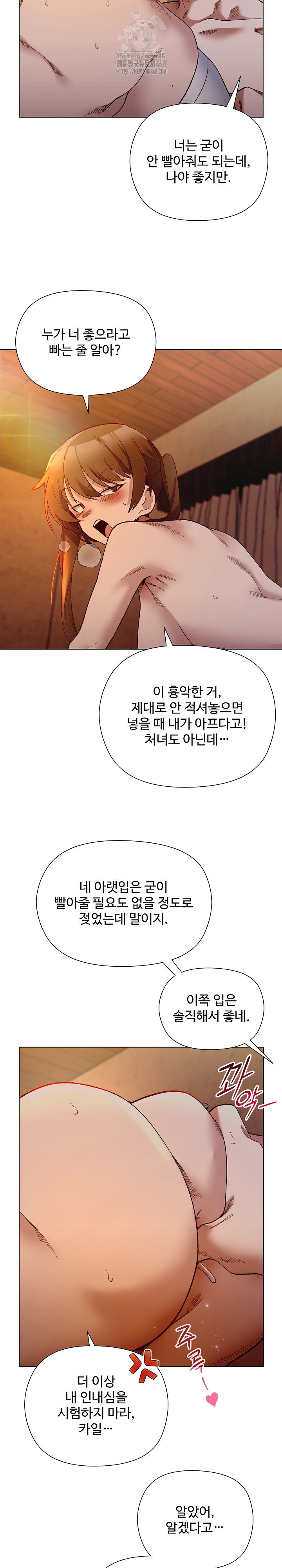 i-will-protect-the-lady-raw-chap-20-16