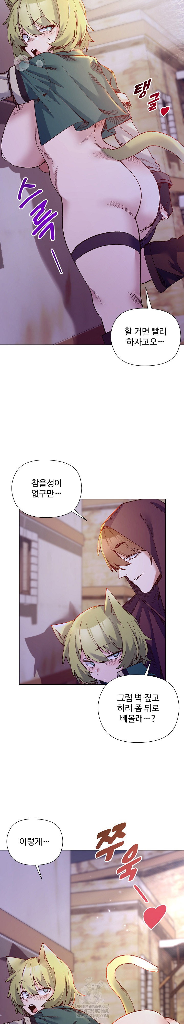 i-will-protect-the-lady-raw-chap-32-12
