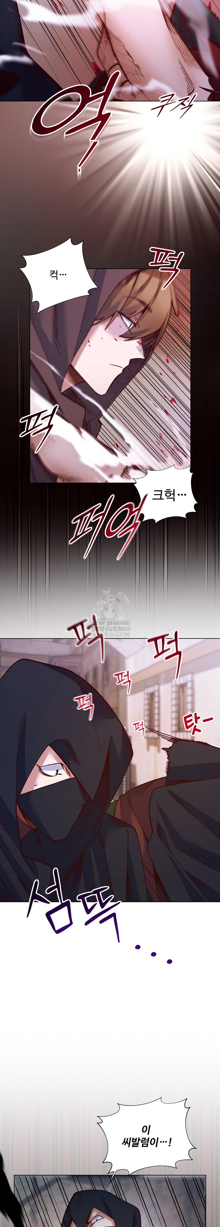 i-will-protect-the-lady-raw-chap-36-13