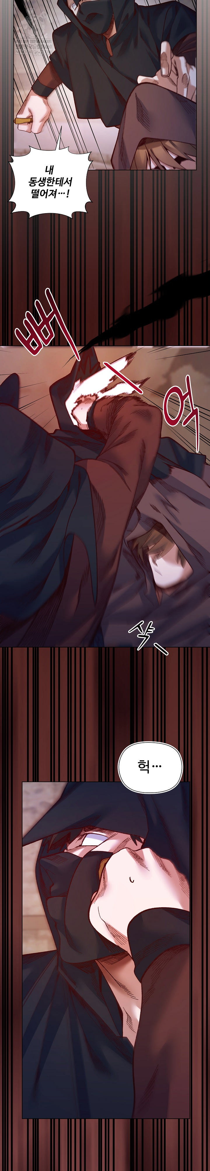 i-will-protect-the-lady-raw-chap-36-14