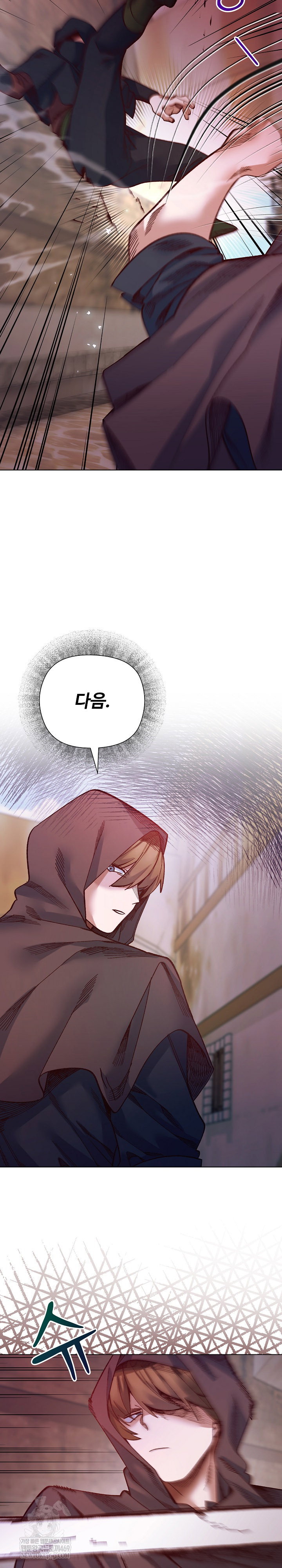 i-will-protect-the-lady-raw-chap-36-16