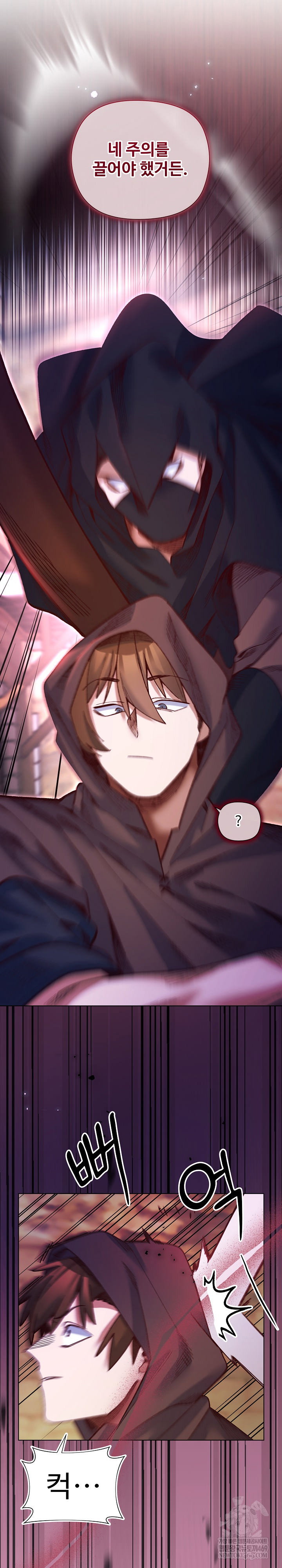 i-will-protect-the-lady-raw-chap-36-26