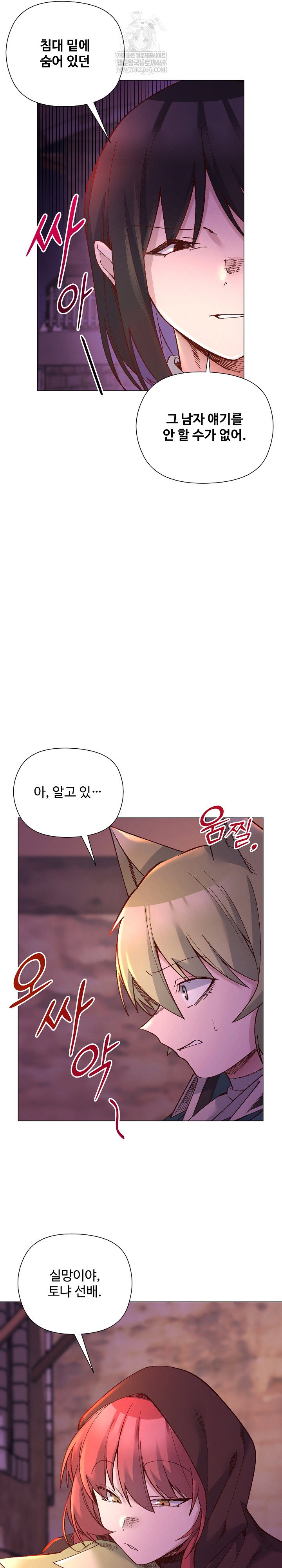 i-will-protect-the-lady-raw-chap-48-8