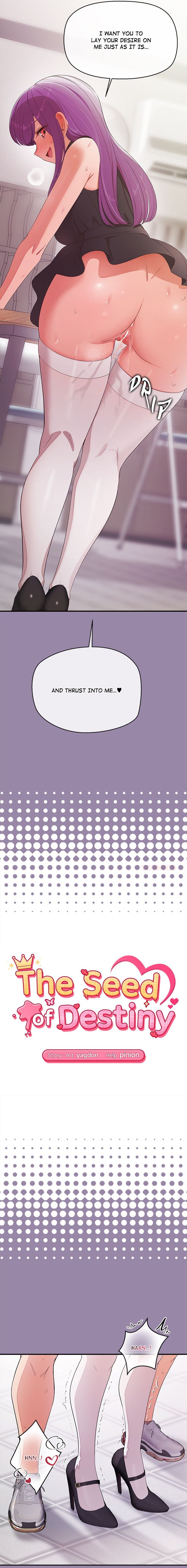 the-seed-of-destiny-chap-23-1