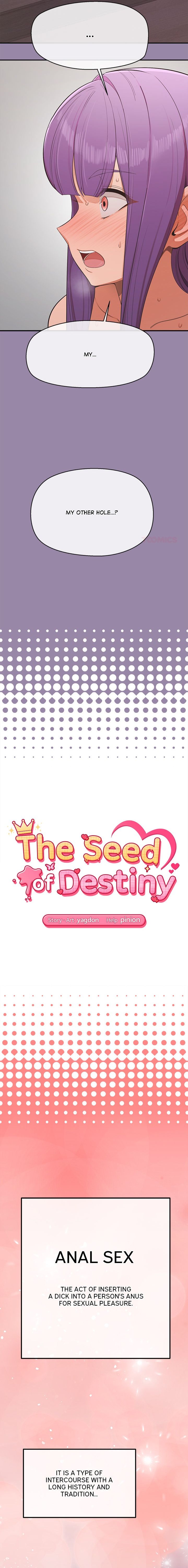 the-seed-of-destiny-chap-24-1