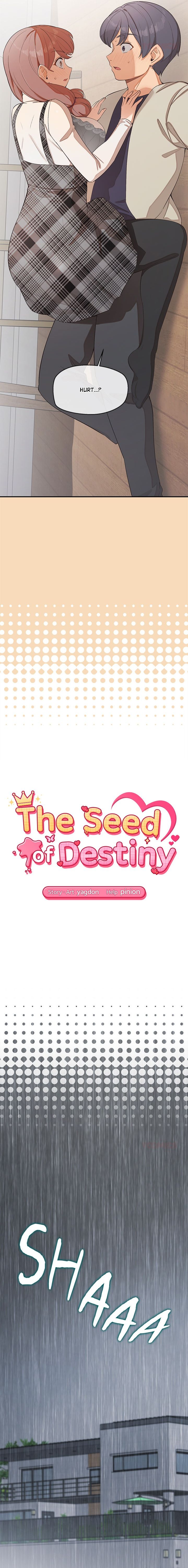 the-seed-of-destiny-chap-26-1