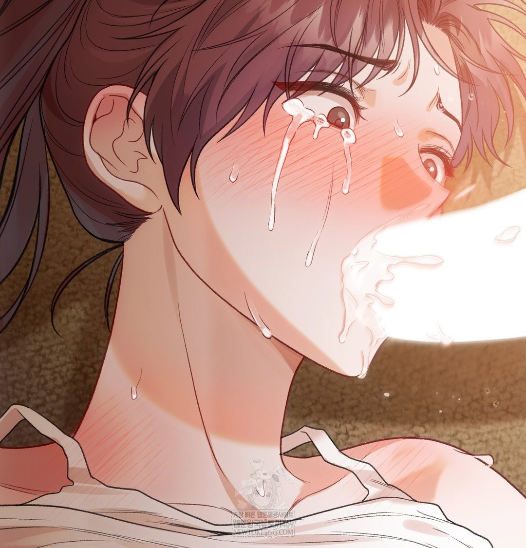 slave-diary-raw-chap-16-33