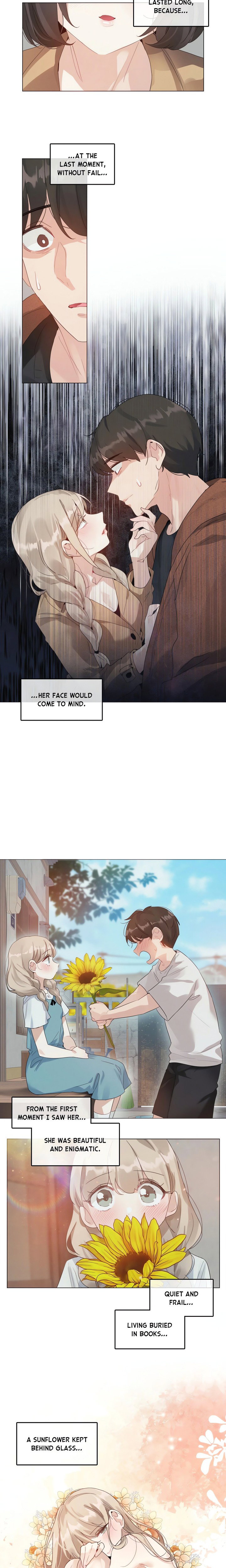 the-season-when-sunflowers-whisper-chap-4-8