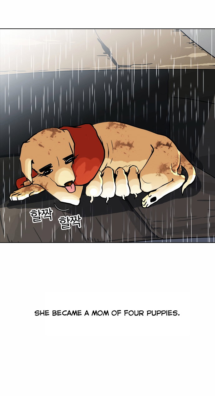 lookism-chap-61-9