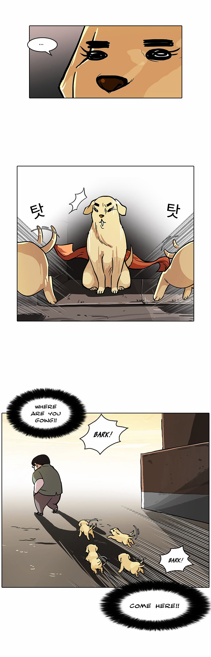 lookism-chap-62-21