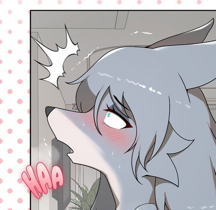 paws-on-campus-chap-14-7