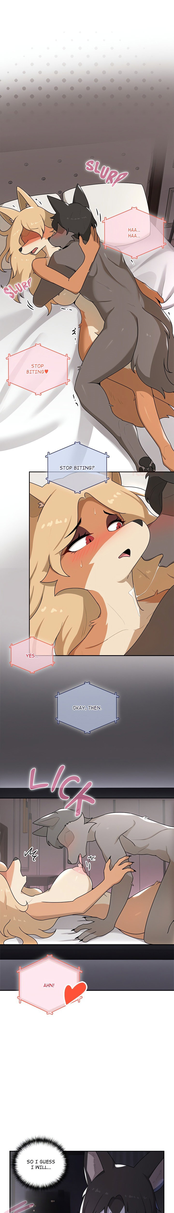 paws-on-campus-chap-4-0