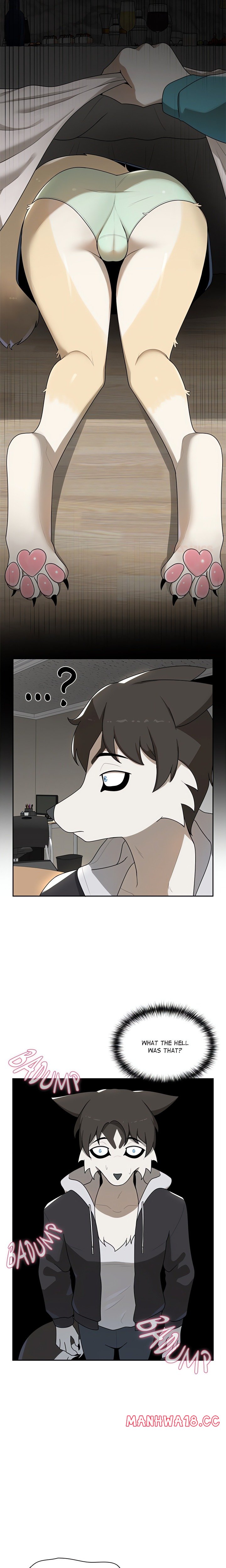 paws-on-campus-chap-6-9