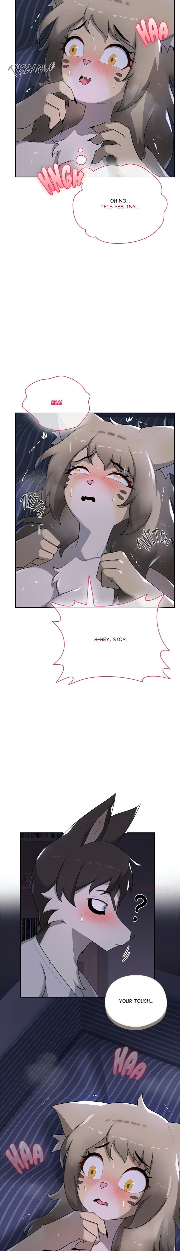 paws-on-campus-chap-8-12