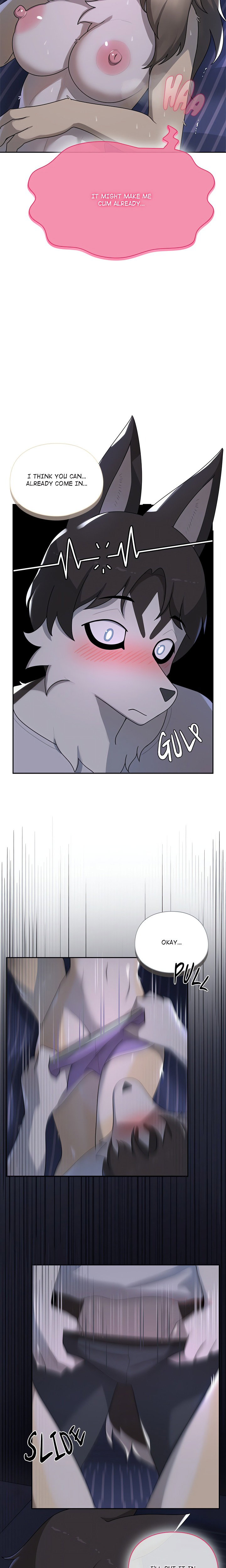 paws-on-campus-chap-8-13