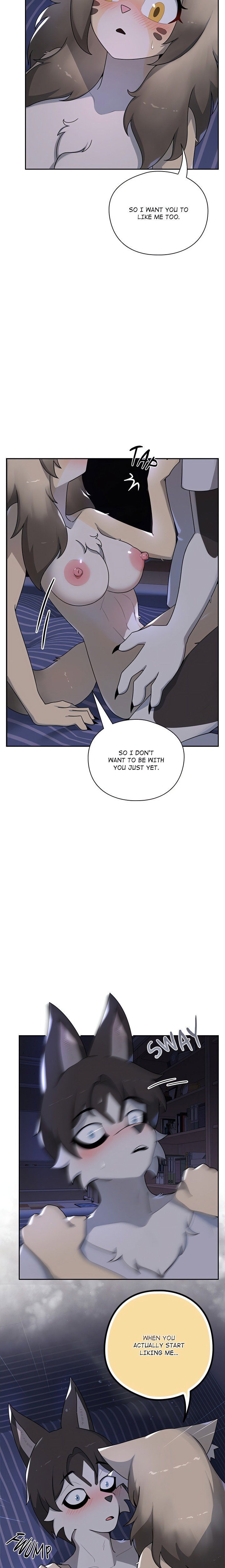 paws-on-campus-chap-9-5