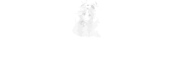 lord-of-money-chap-246-21