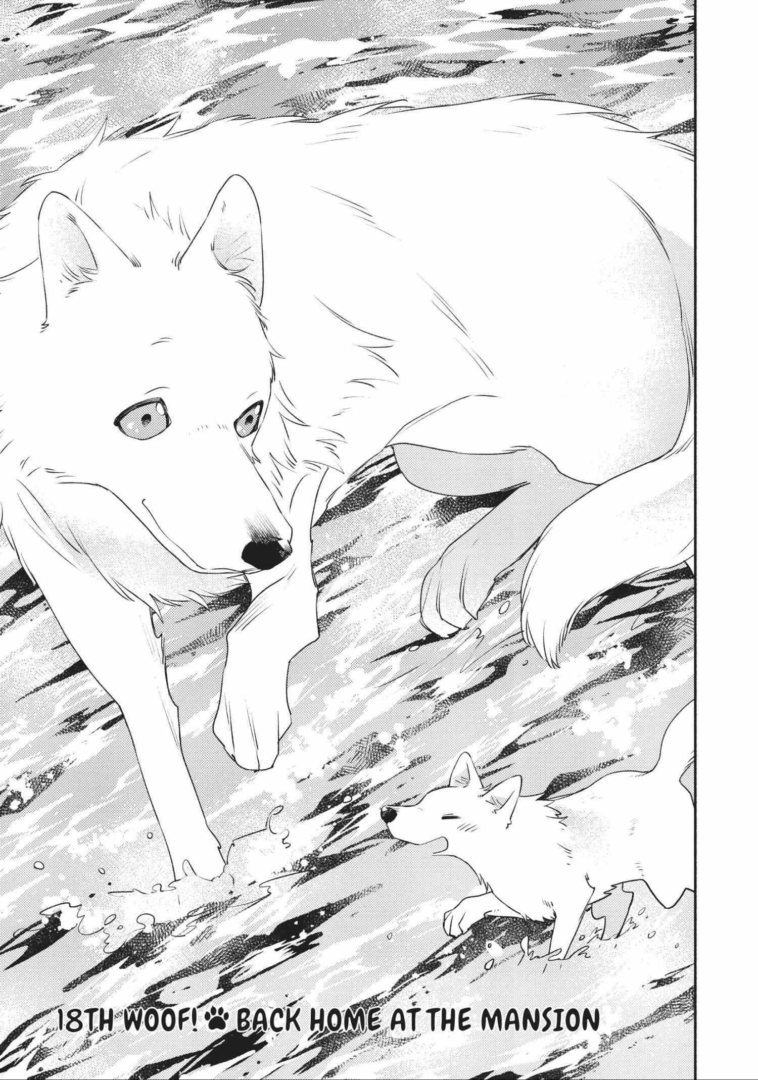 when-i-moved-to-another-world-my-dog-became-the-strongest-when-silver-fenrir-and-i-started-living-in-another-world-chap-18-0
