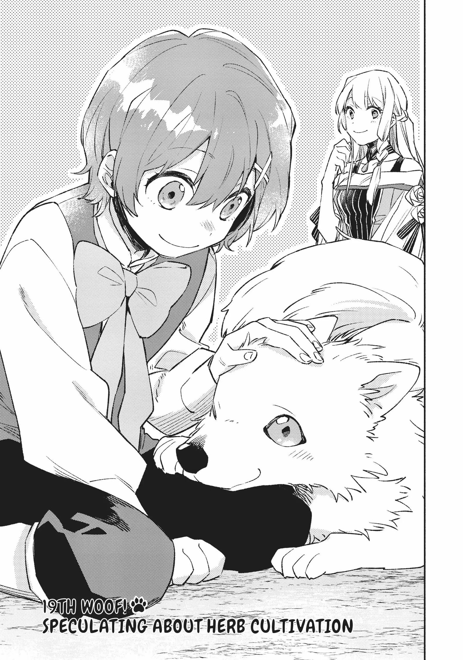 when-i-moved-to-another-world-my-dog-became-the-strongest-when-silver-fenrir-and-i-started-living-in-another-world-chap-19-0