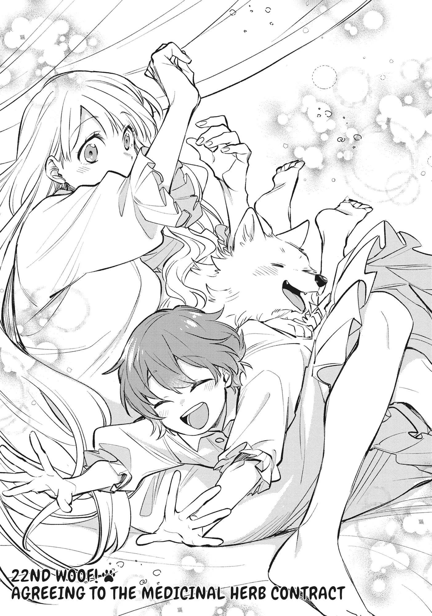 when-i-moved-to-another-world-my-dog-became-the-strongest-when-silver-fenrir-and-i-started-living-in-another-world-chap-22-0