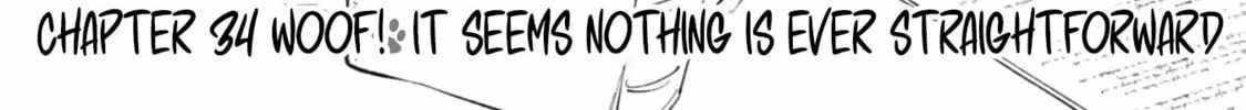 when-i-moved-to-another-world-my-dog-became-the-strongest-when-silver-fenrir-and-i-started-living-in-another-world-chap-34-1