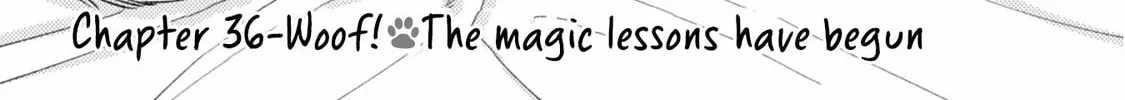 when-i-moved-to-another-world-my-dog-became-the-strongest-when-silver-fenrir-and-i-started-living-in-another-world-chap-36-1