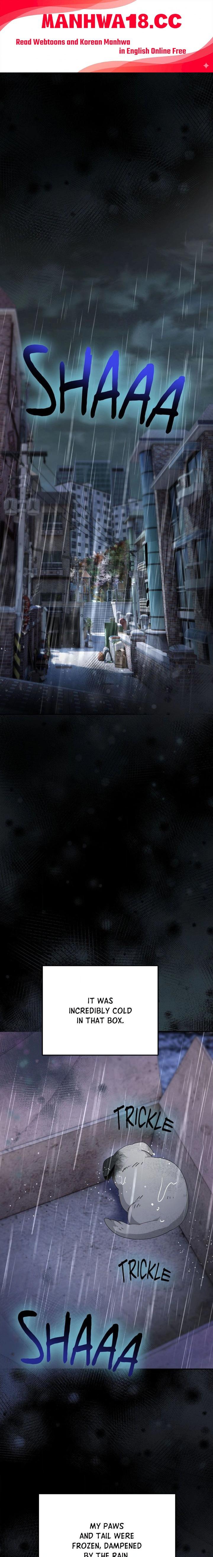 kingdom-of-innocence-uncensored-chap-37-0