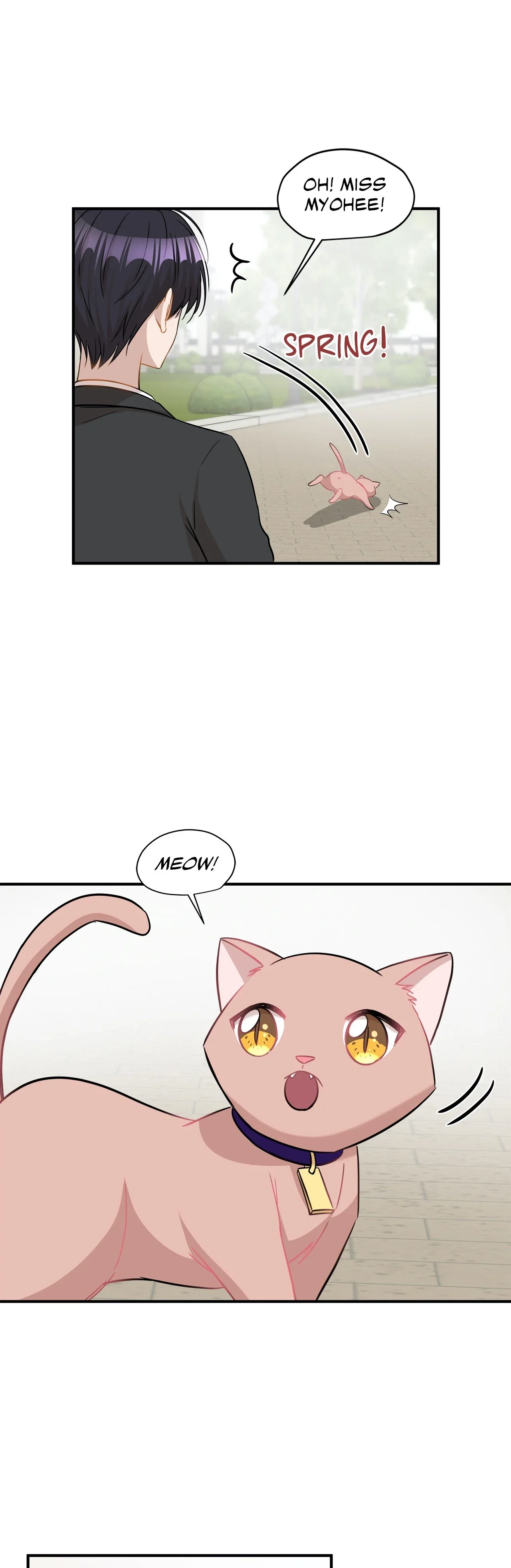just-for-a-meowment-chap-30-39