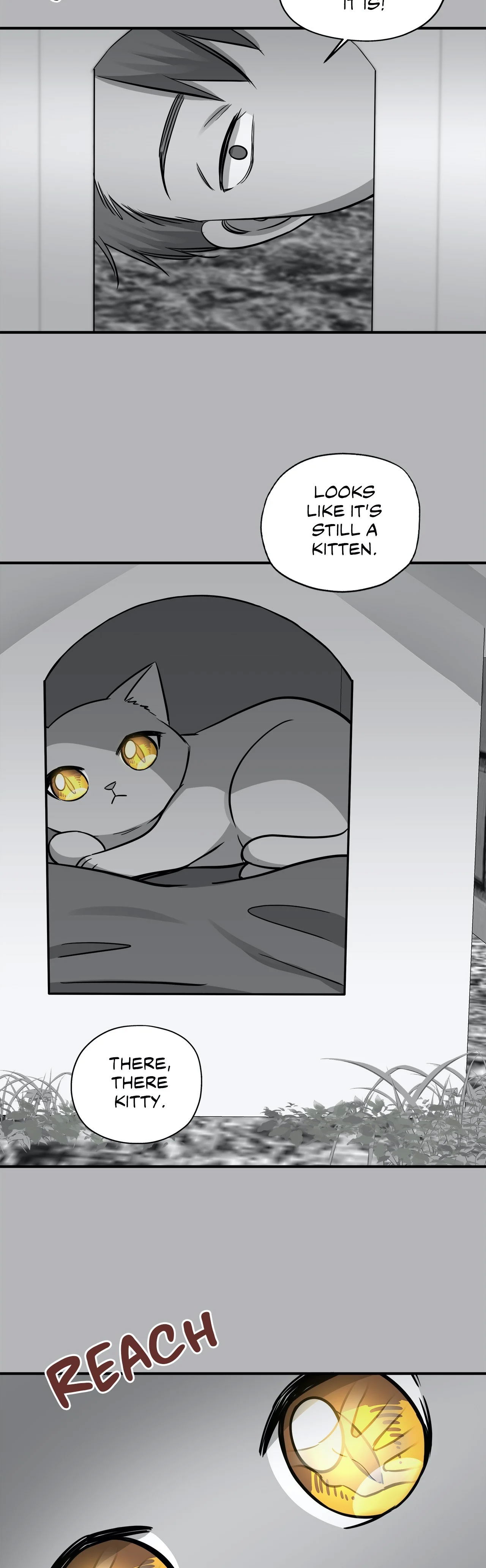 just-for-a-meowment-chap-41-16