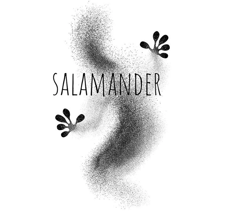 salamander-chap-17-45