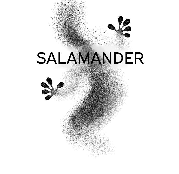 salamander-chap-9-28