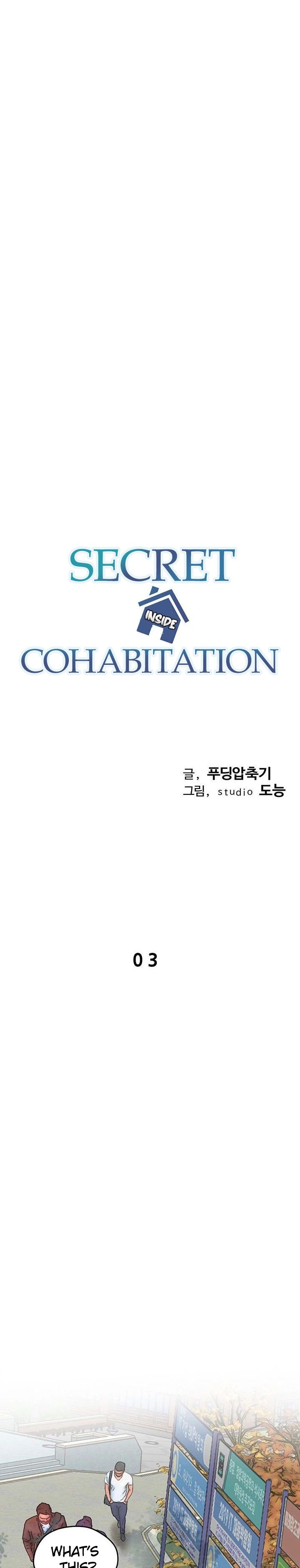 secret-cohabitation-chap-3-15