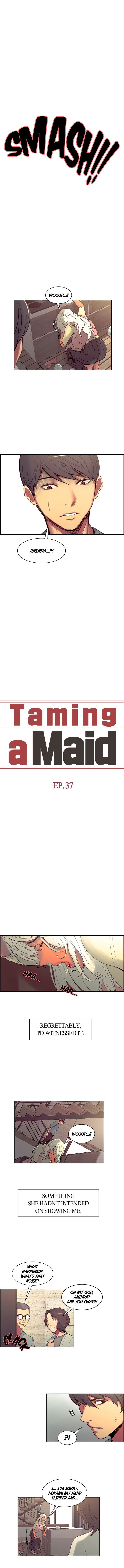 taming-a-maid-chap-37-0