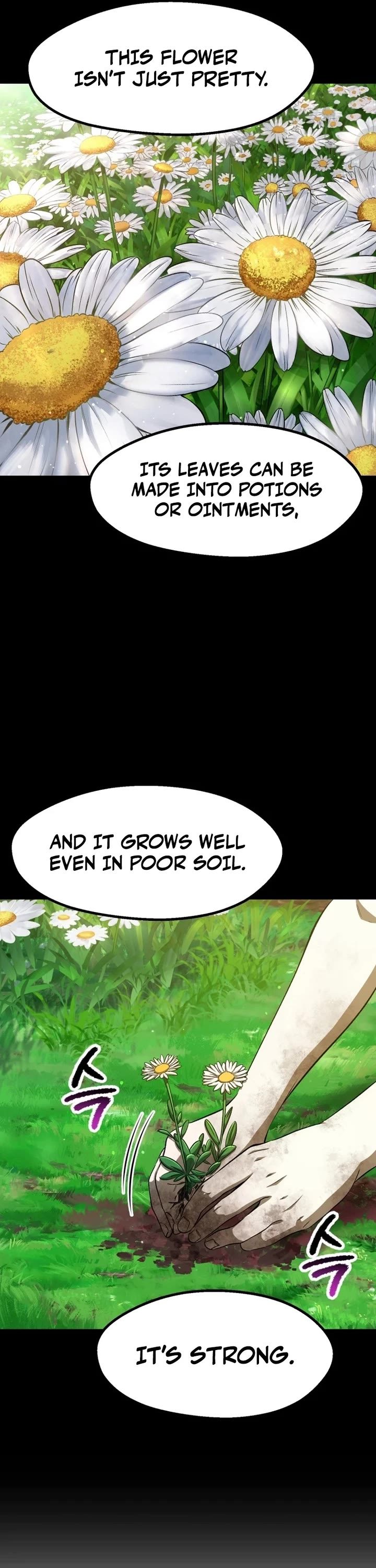 survival-story-of-a-sword-king-in-a-fantasy-world-chap-266-12