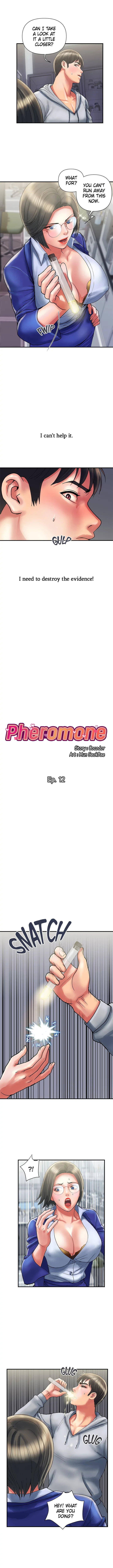 pheromones-chap-12-1