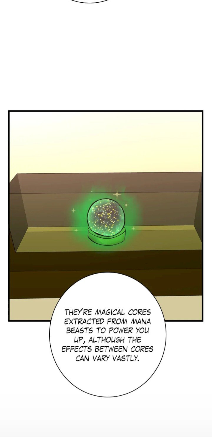 the-beginning-after-the-end-chap-33-17