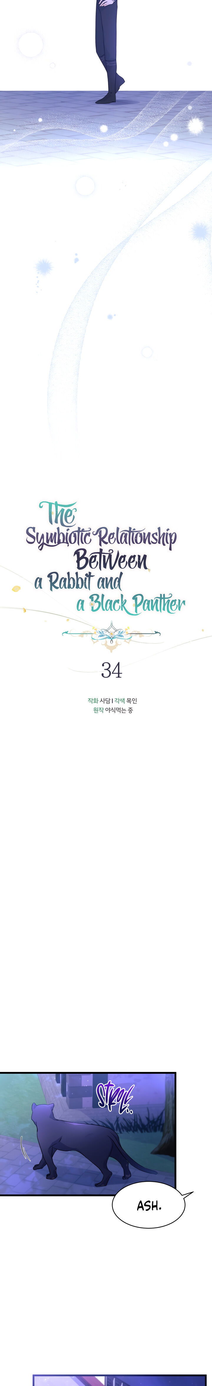 the-symbiotic-relationship-between-a-rabbit-and-a-black-panther-chap-34-7