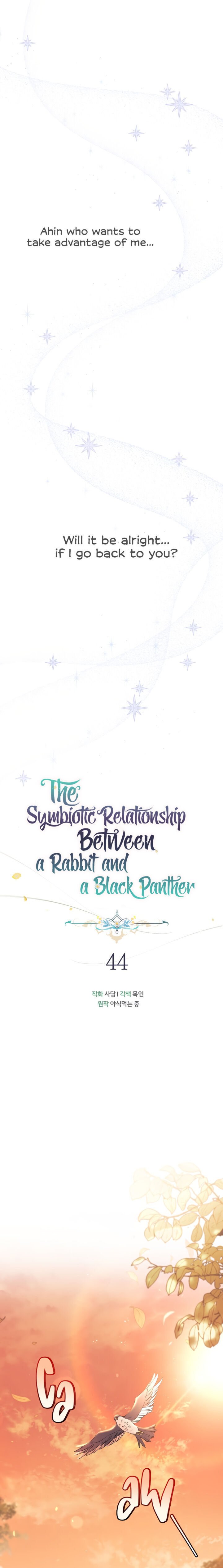 the-symbiotic-relationship-between-a-rabbit-and-a-black-panther-chap-44-6