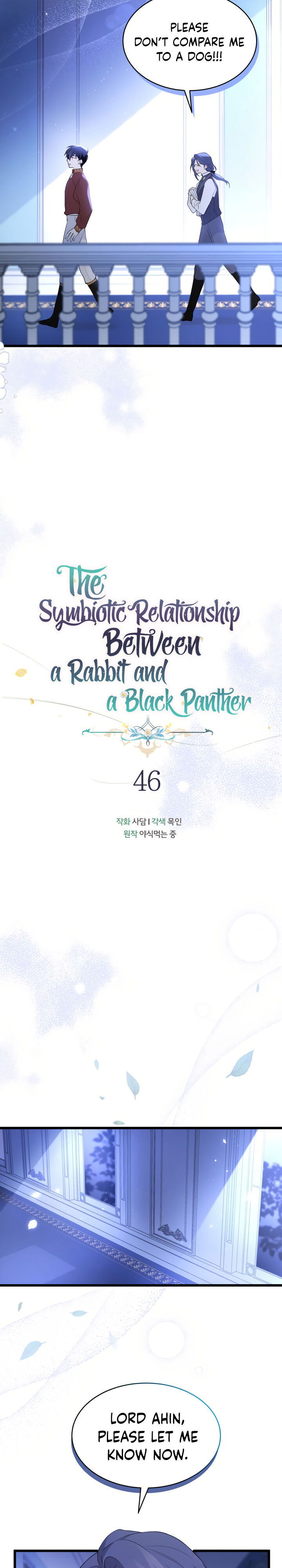 the-symbiotic-relationship-between-a-rabbit-and-a-black-panther-chap-46-4